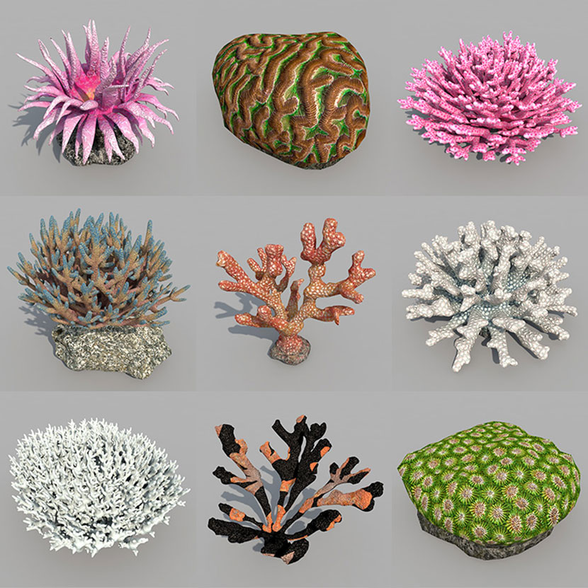46个精美海底生物世界fbx创意3d场景五光十色各色珊瑚c4d模型_爱优创