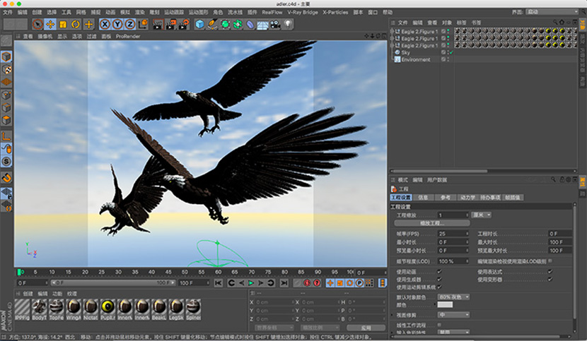 飞翔的老鹰C4D模型飞鸟猛禽元素创意场景3D模型素材