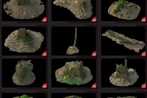 56个原始森林腐朽树桩枯树 石头C4D MAX模型创意场景3D素材
