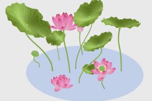 池塘莲花荷花荷叶花卉绿植物C4D工程模型立体场景3D设计素材