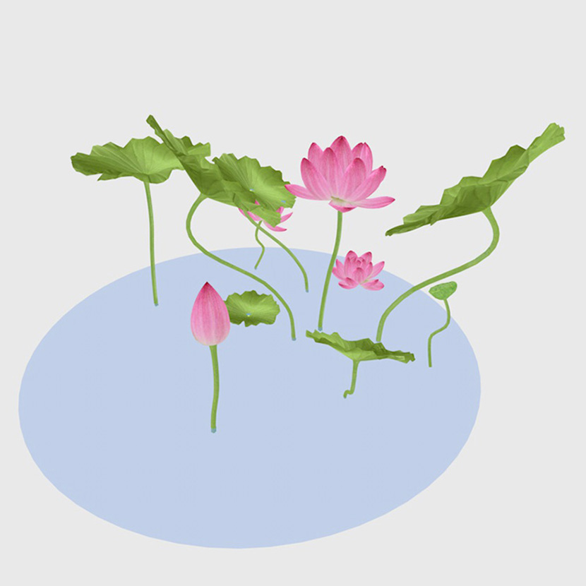 池塘莲花荷花荷叶花卉绿植物C4D工程模型立体场景3D设计素材
