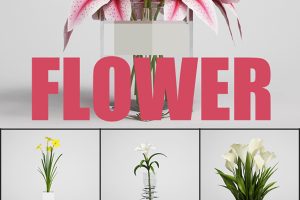 25个室内鲜花插花C4D模型合集百合郁金香兰花玫瑰蝴蝶兰