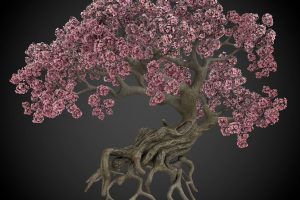时尚卡通3d古风樱花树老树blend创意造型盆景景观植物C4D模型