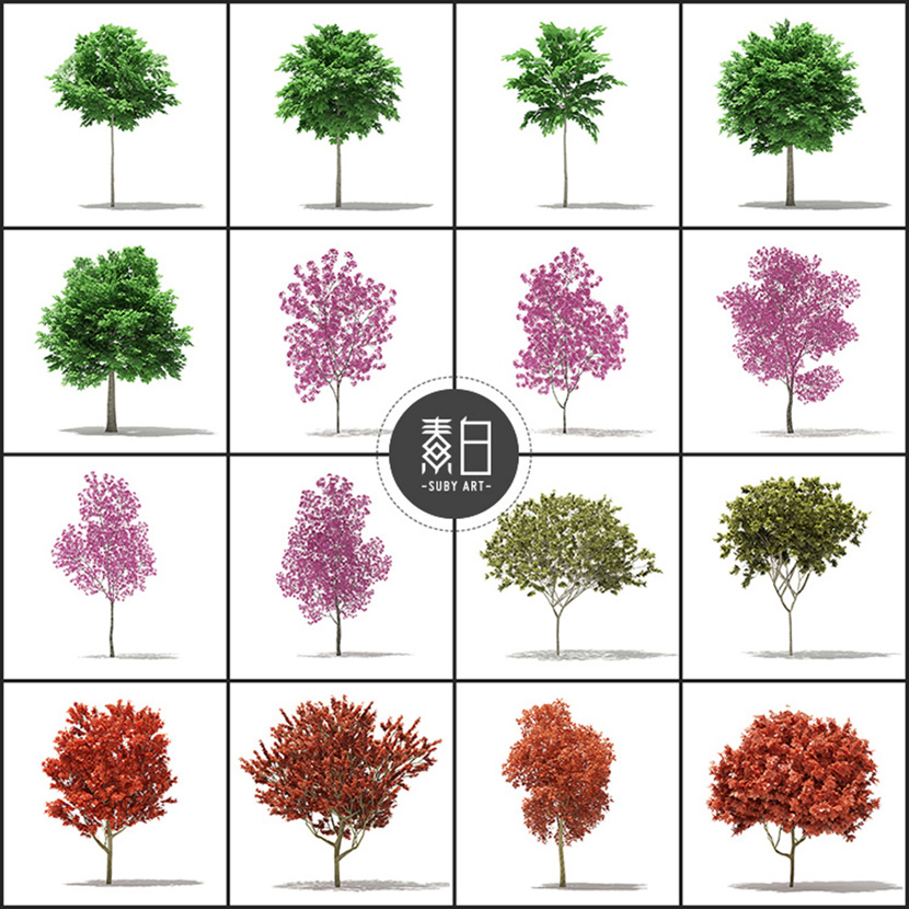 64套景观树木C4D模型合集环境园林艺术设计3D模型素材