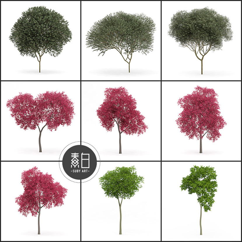 64套景观树木C4D模型合集环境园林艺术设计3D模型素材