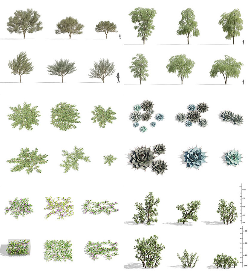 72款热带沙漠植物植被fbx树木c4d模型仙人掌面包树3dmax素材