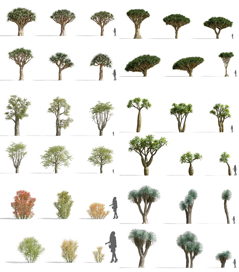 72款热带沙漠植物植被fbx树木c4d模型仙人掌面包树3dmax素材