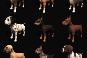 17只绑定骨骼的幼犬小狗C4D模型fbx动物obj设计素材不含动作