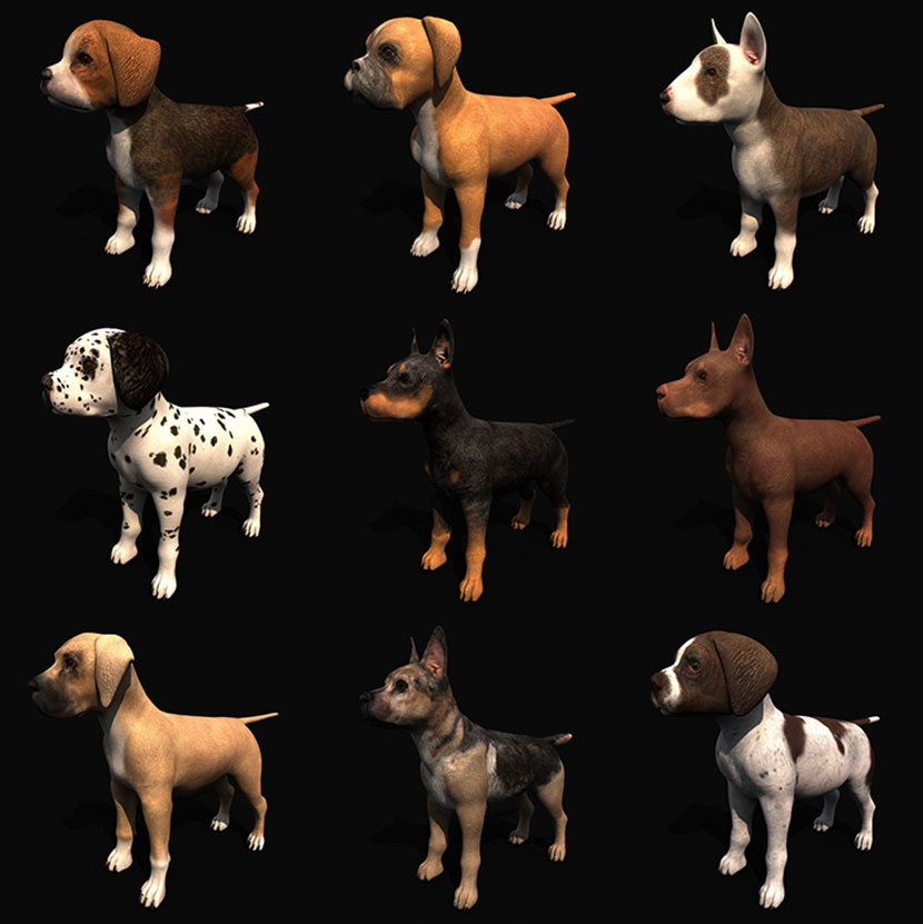 17只绑定骨骼的幼犬小狗C4D模型fbx动物obj设计素材不含动作
