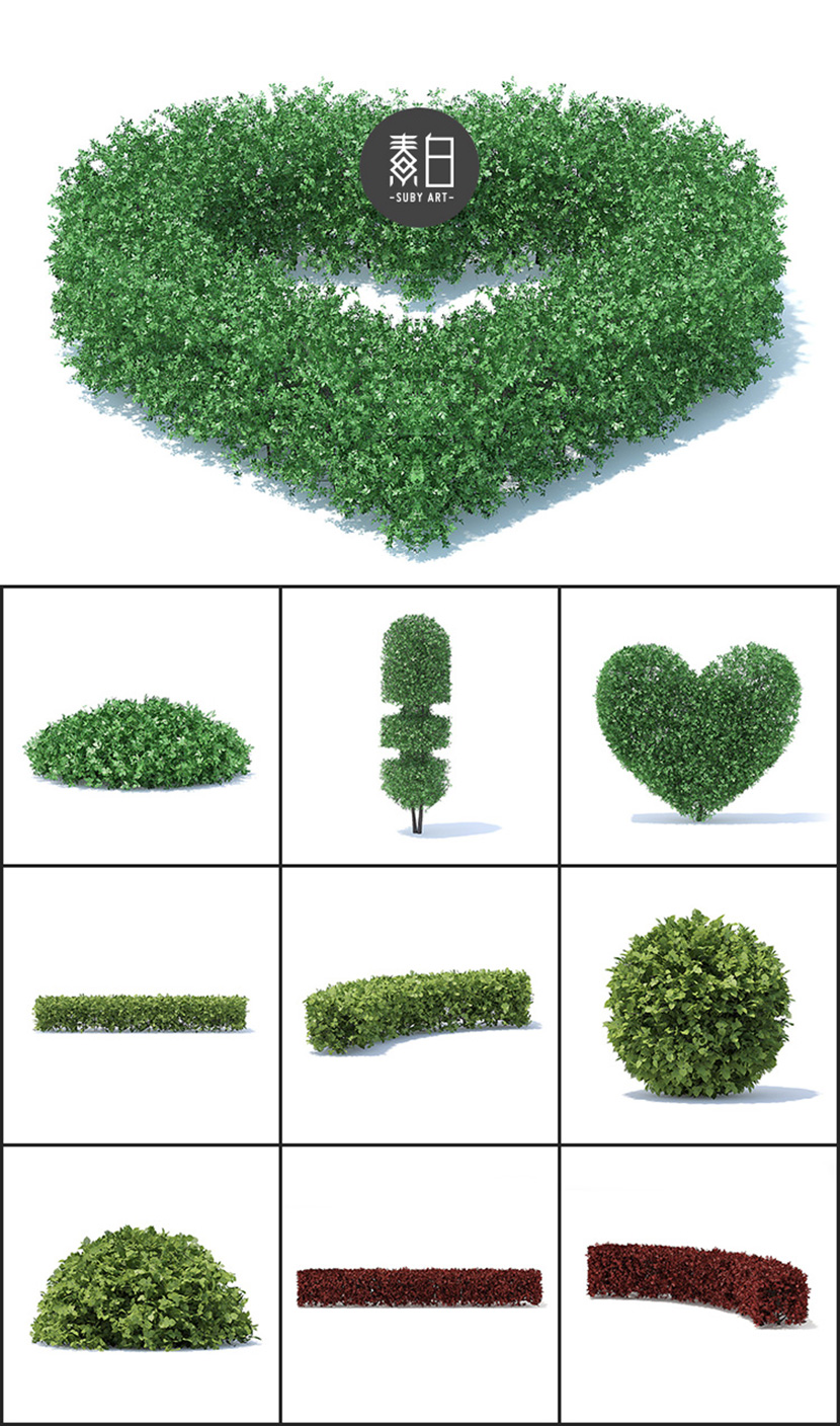 36个观赏园艺植物造型C4D模型合集园林景观设计3D素材