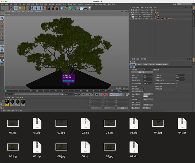 7棵大树树木常绿乔木护路林植物C4D模式OBJ设计stl户外3d素材