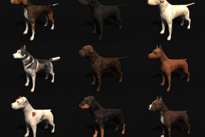18只宠物狗家犬骨骼绑定C4D模型fbx动物obj设计素材不含动作