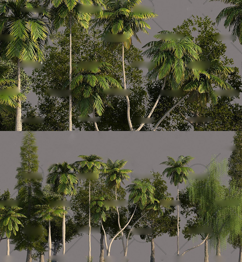 17个树木3D模型松树垂柳棕榈