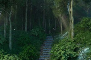 C4D oc真实树林山径工程模型含材质贴图及灯光环境创意3D素材