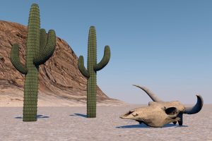 仙人掌与牛头骨C4D模型沙漠创意场景3D模型素材