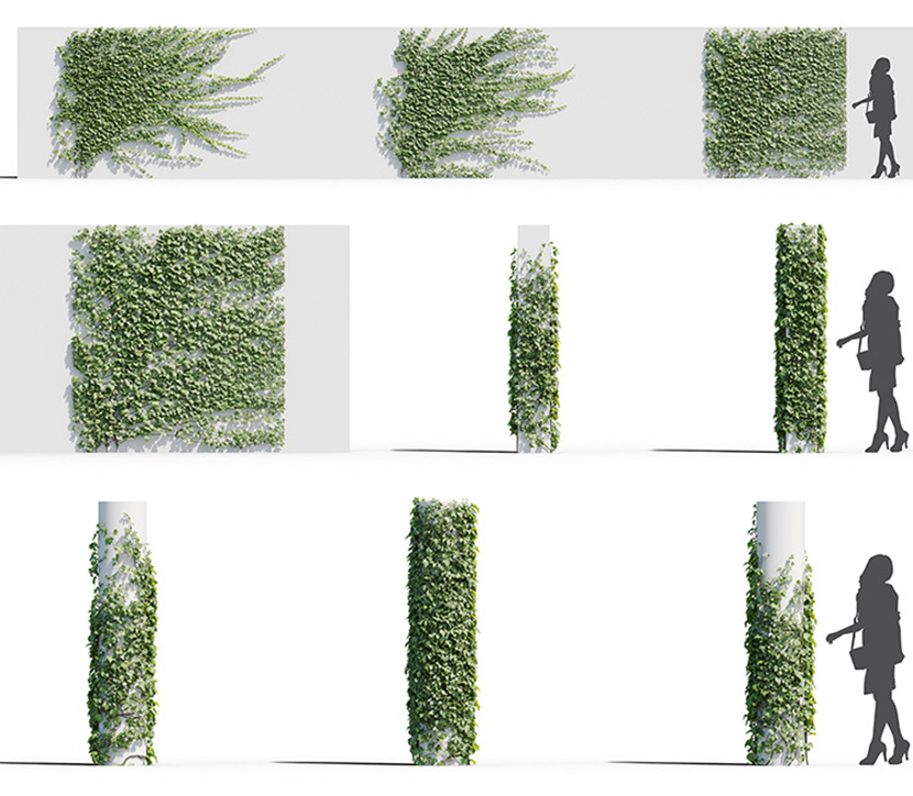 室外观赏爬山虎花草植物花藤C4D模型OC渲染器素材含贴图