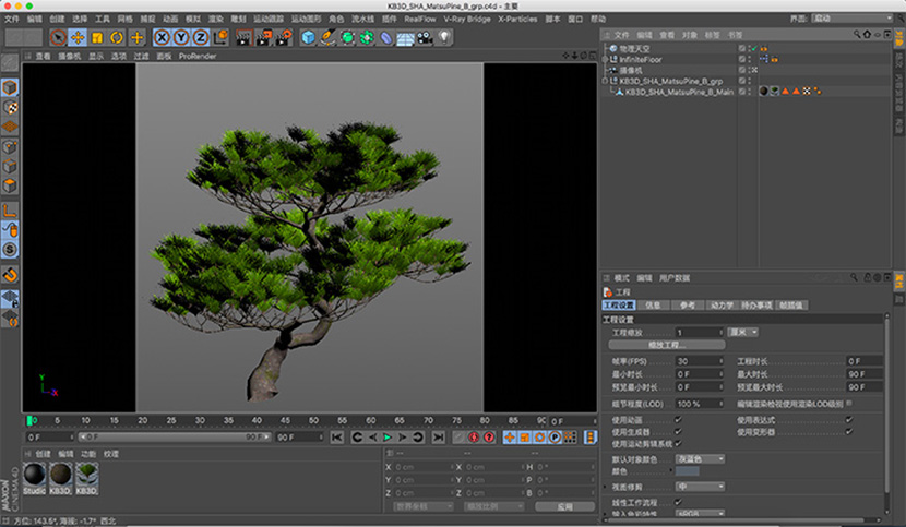 3款C4D青松松树模型传统盆景植物创意场景3D模型素材