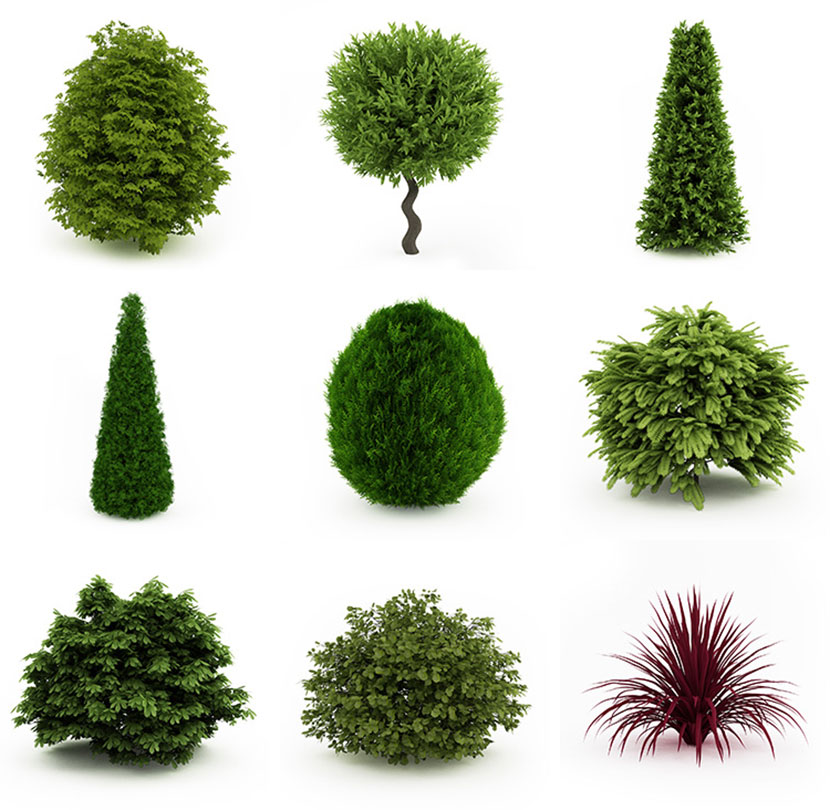 园林景观绿色植物花朵草丛花簇C4D模型3d三维设计素材合集