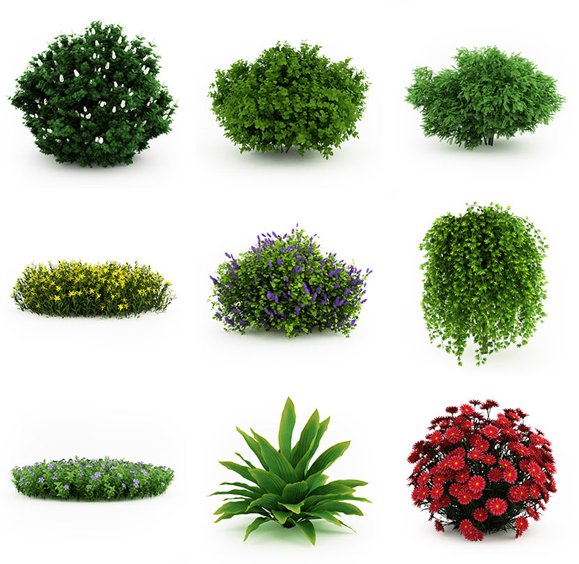 园林景观绿色植物花朵草丛花簇C4D模型3d三维设计素材合集