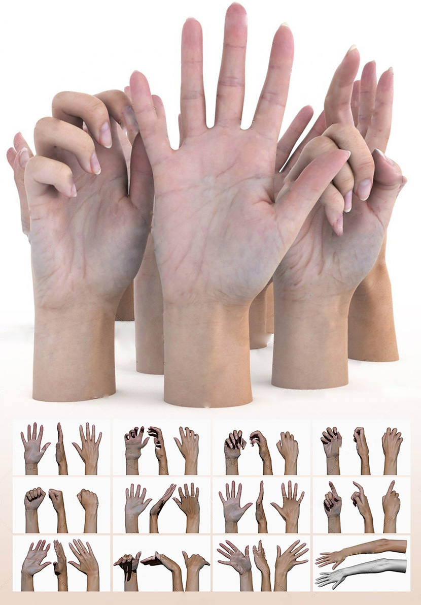 11个女性手势手姿势3D扫描C4D模型创意人物角色塑造FBX素材