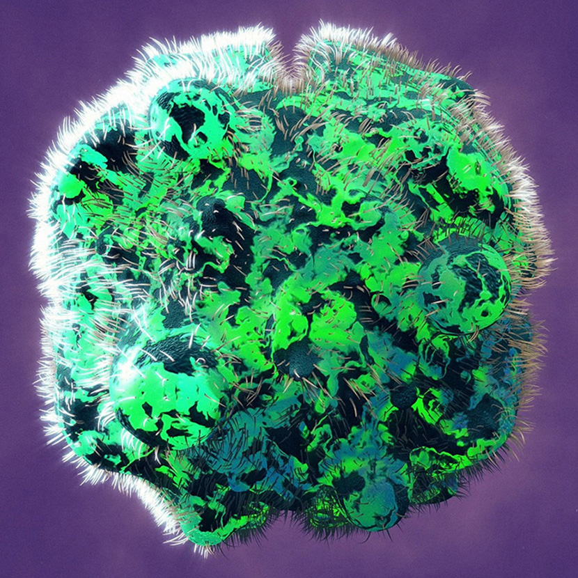 C4D毛状绿色生物球创意工程创意场景3D模型素材