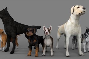 45只宠物狗和狼C4D变异生化狗模型合集创意场景3D模型素材