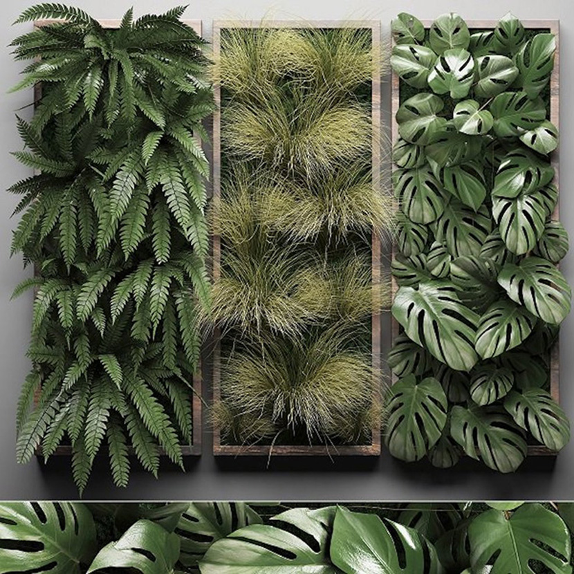 植物墙三联C4D模型装饰植物挂画创意场景3D模型素材