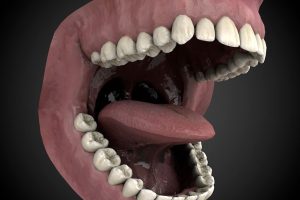 1套blend人类口腔嘴巴obj牙齿舌头C4D模型3d素材fbx科学道具