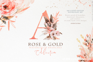 玫瑰金树枝手绘水彩免抠图素材插画包 D193