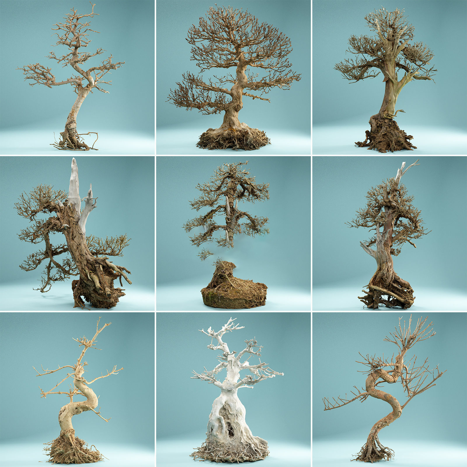 9个枯死盆景树3D模型 枯树模型 死树模型 枯萎的树模型YC318