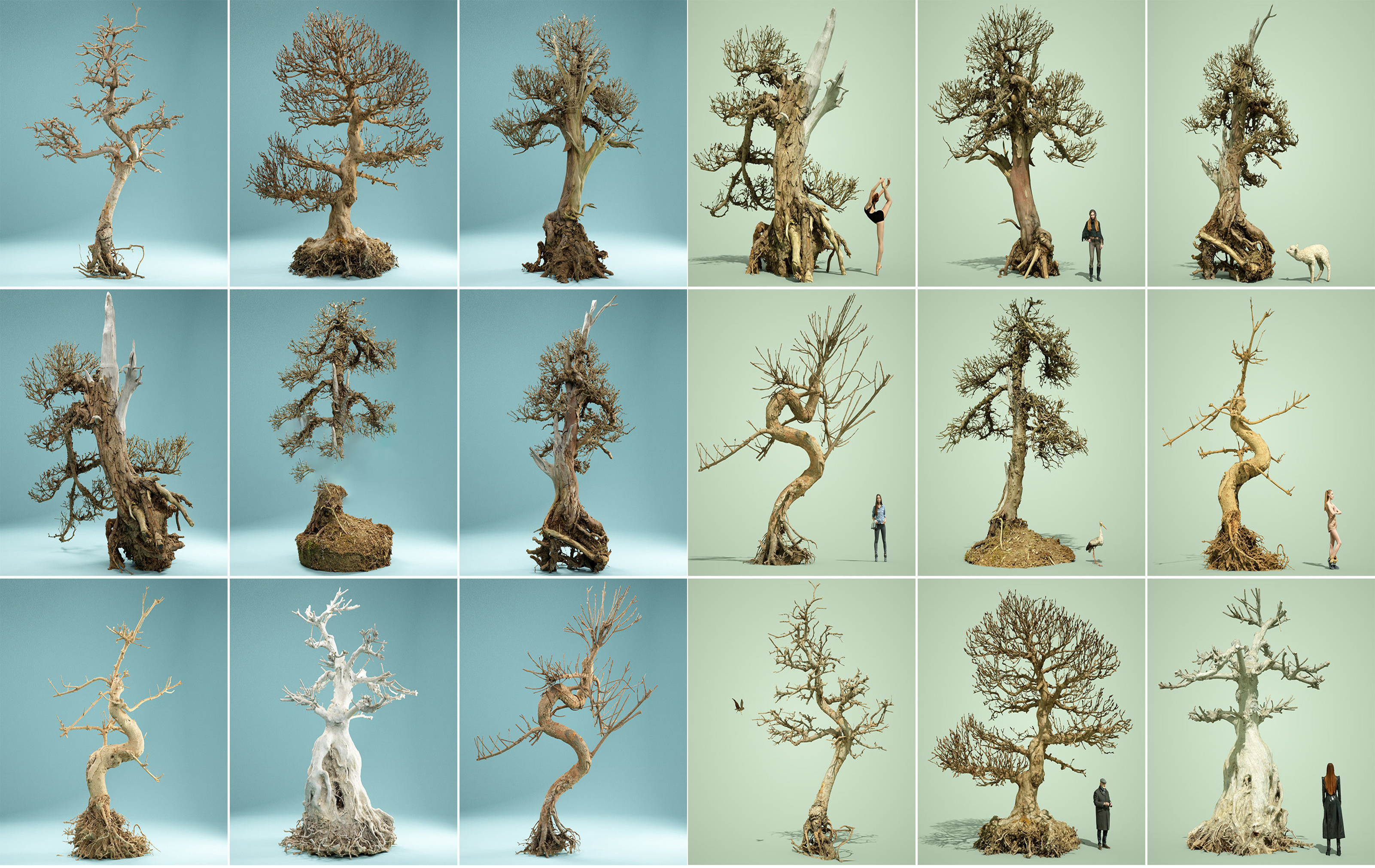 9个枯死盆景树3D模型 枯树模型 死树模型 枯萎的树模型YC318