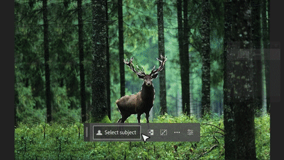 Photoshop 2023 Beta 内置Ai绘图功能版，现已更新，修图只需一句话YC322