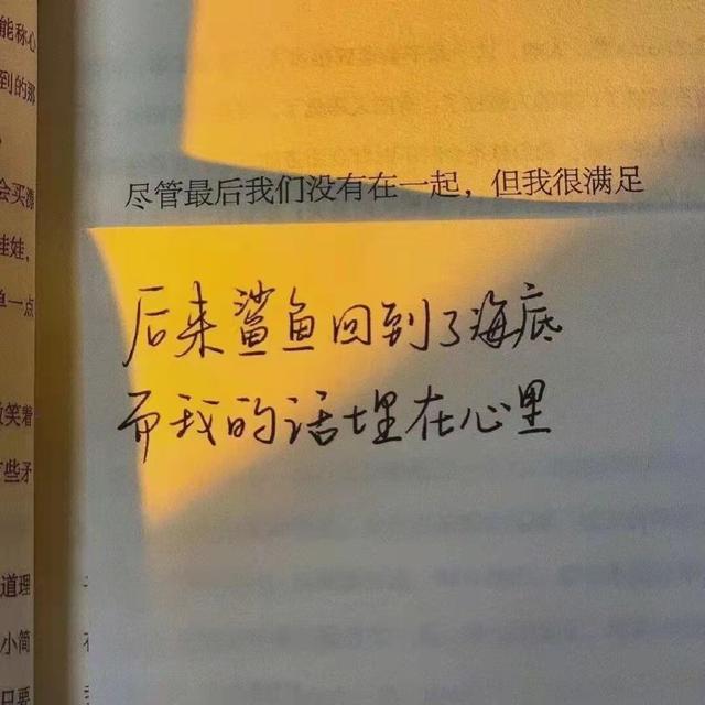 文案生成网站